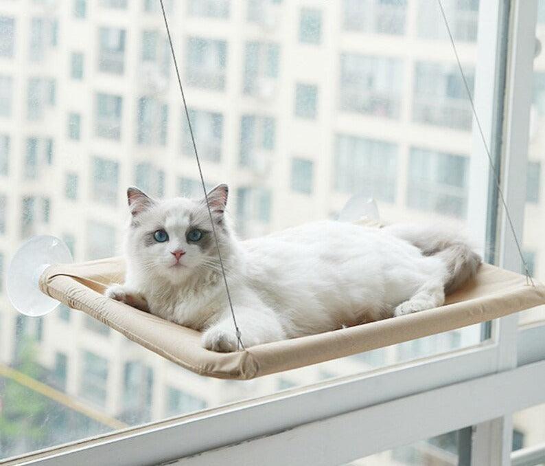 Cat Hammock 