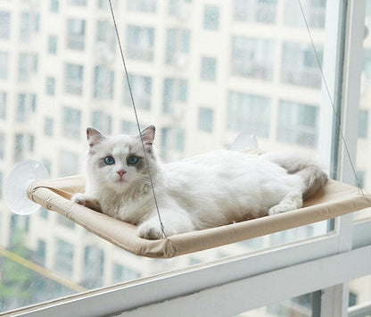 Cat Hammock 