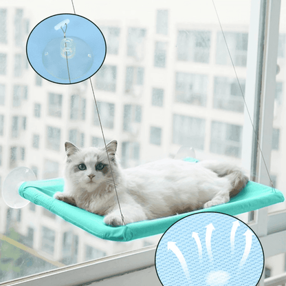 Cat Hammock (Free) 