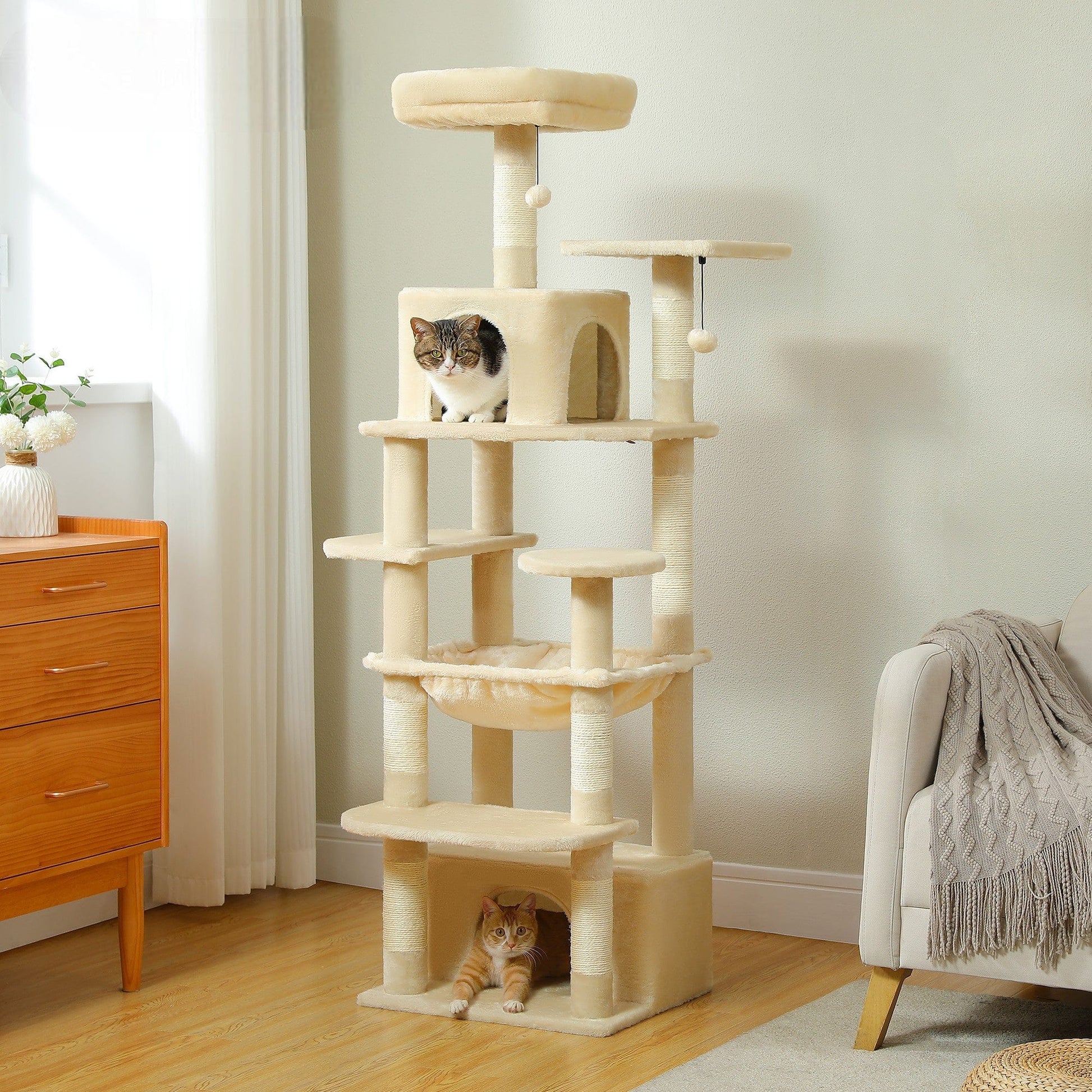 l-arbre-a-chat.com Arbre a Chat pour Gros Chat