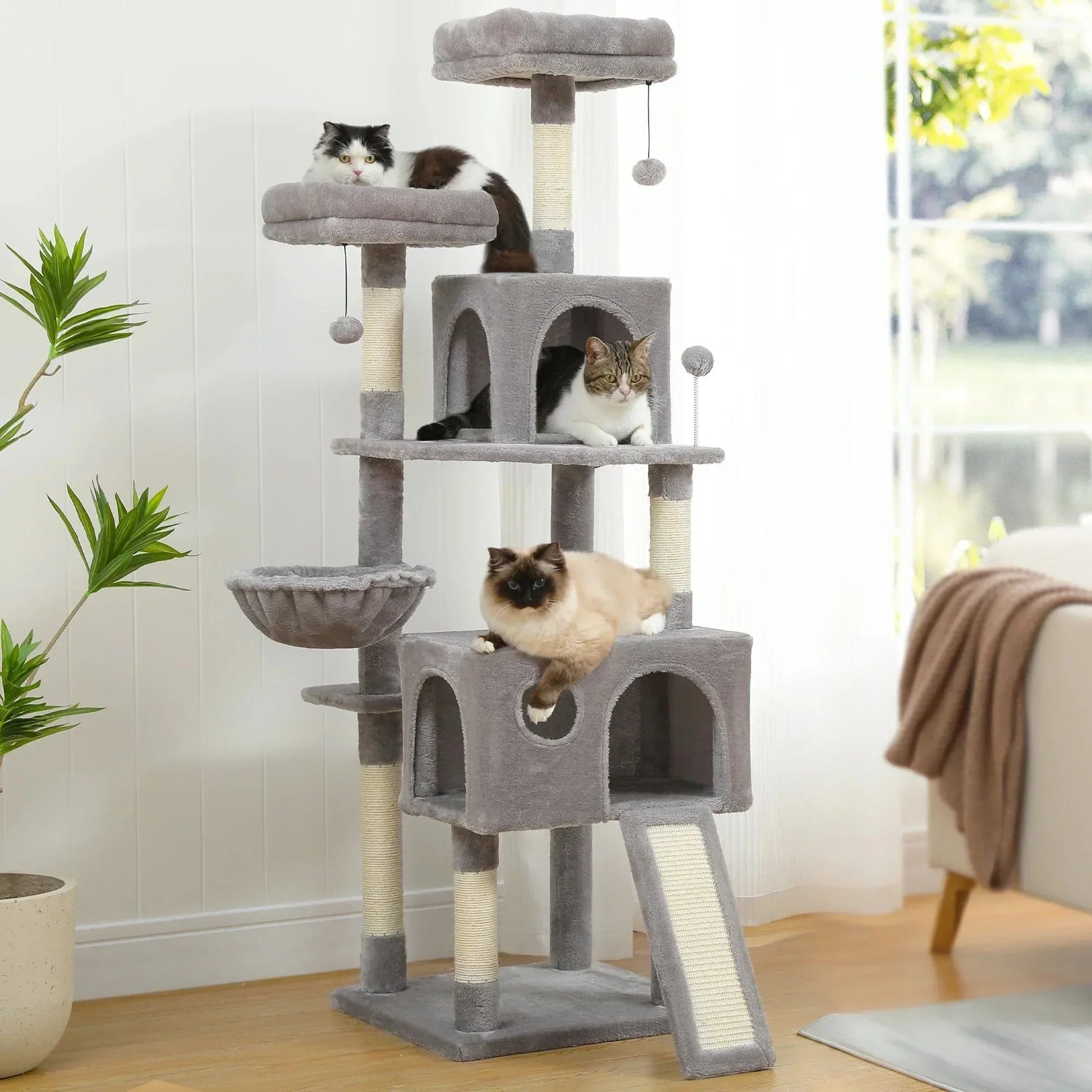 l-arbre-a-chat.com Arbre a Chat pour Maine Coon Adulte