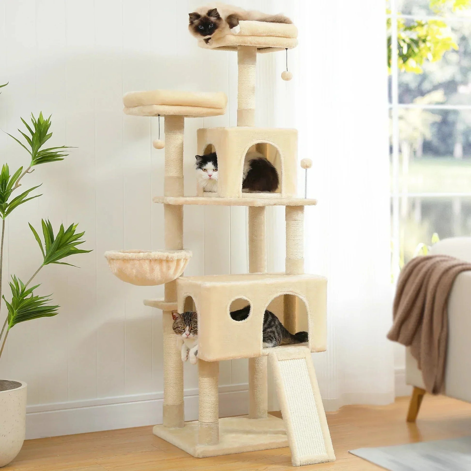 l-arbre-a-chat.com Arbre a Chat pour Maine Coon Adulte